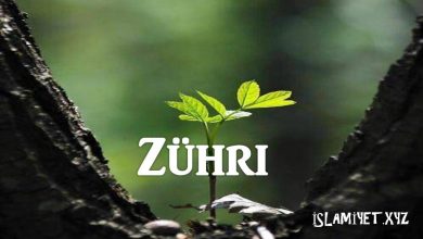 Zühri