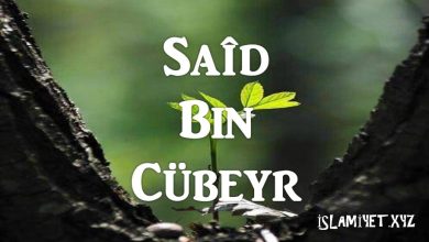 Saîd Bin Cübeyr