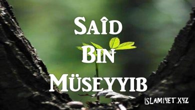 Saîd Bin Müseyyib
