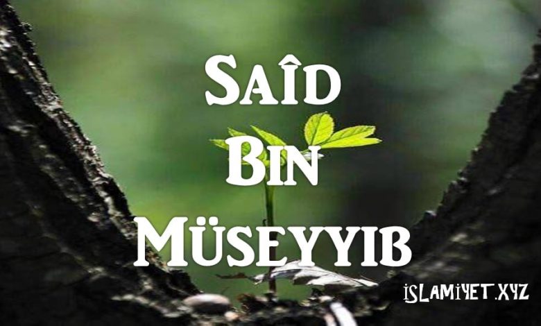 Saîd Bin Müseyyib