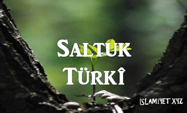 Saltuk Türkî