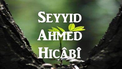 Seyyid Ahmed Hicâbî