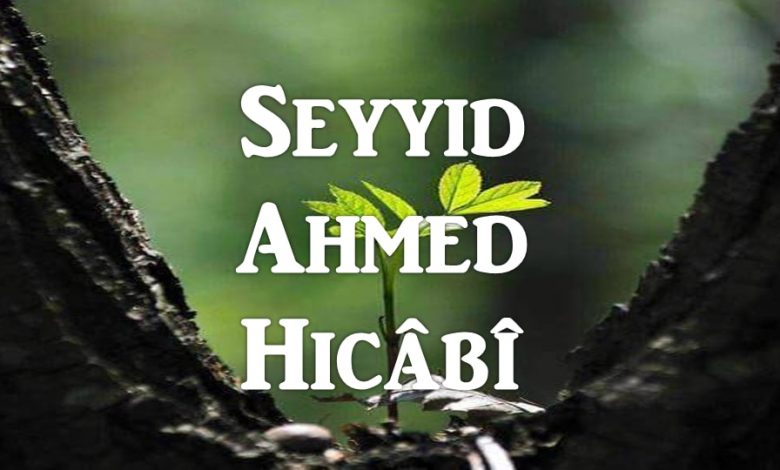Seyyid Ahmed Hicâbî