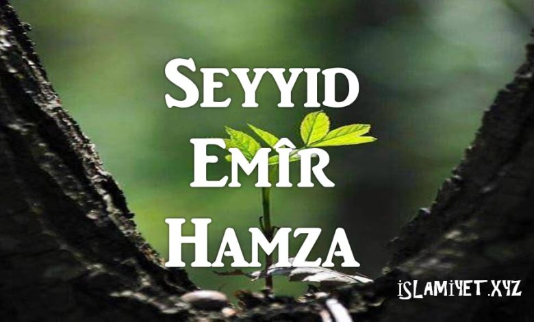Seyyid Emîr Hamza