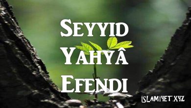 Seyyid Yahyâ Efendi