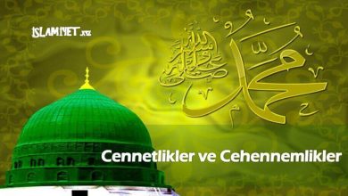 Cennetlikler ve Cehennemlikler