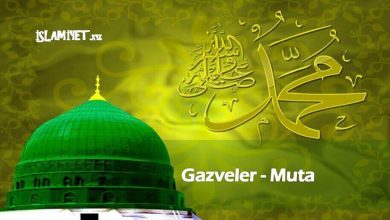 Gazveler - Muta