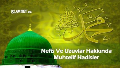 Nefis Ve Uzuvlar Hakkında Muhtelif Hadisler