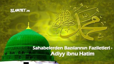 Adiyy ibnu Hatim