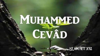 Muhammed Cevâd (9.imam)