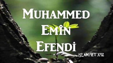Muhammed Emîn Efendi